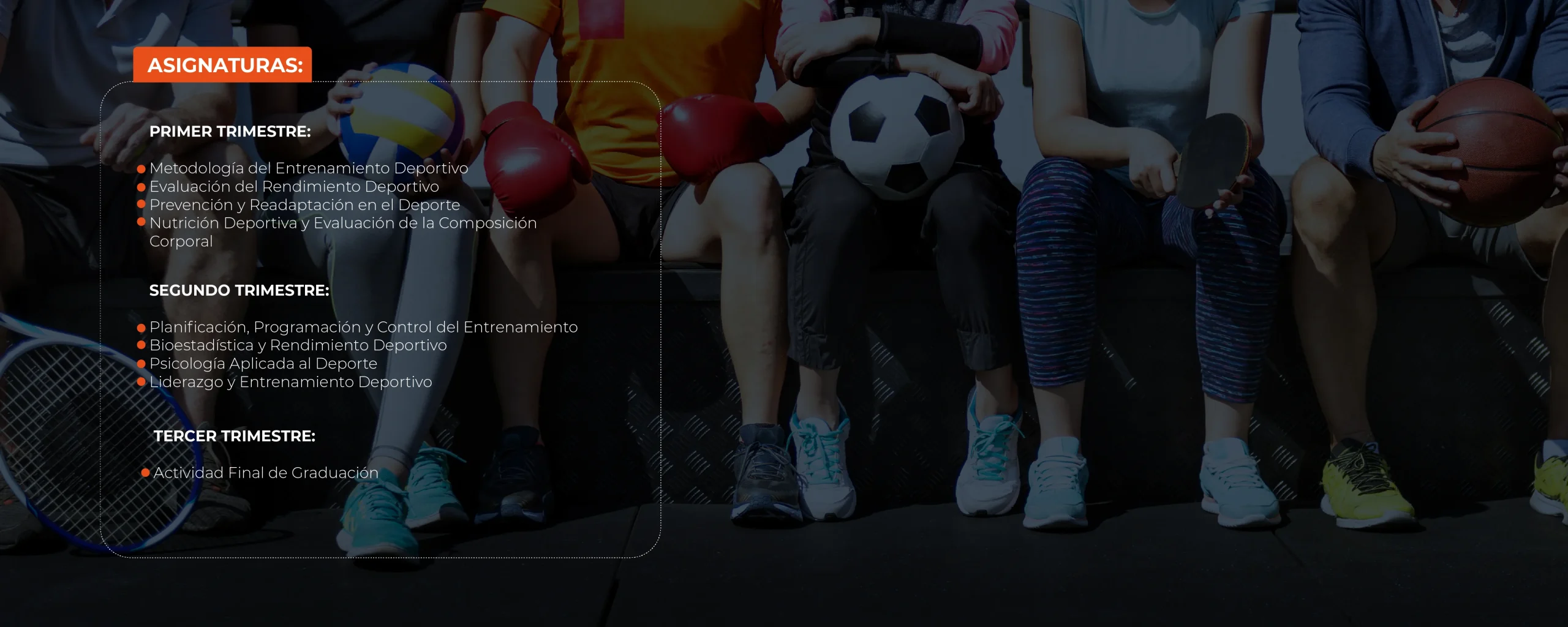 Plan de Estudios Banner Magíster en Rendimiento Deportivo