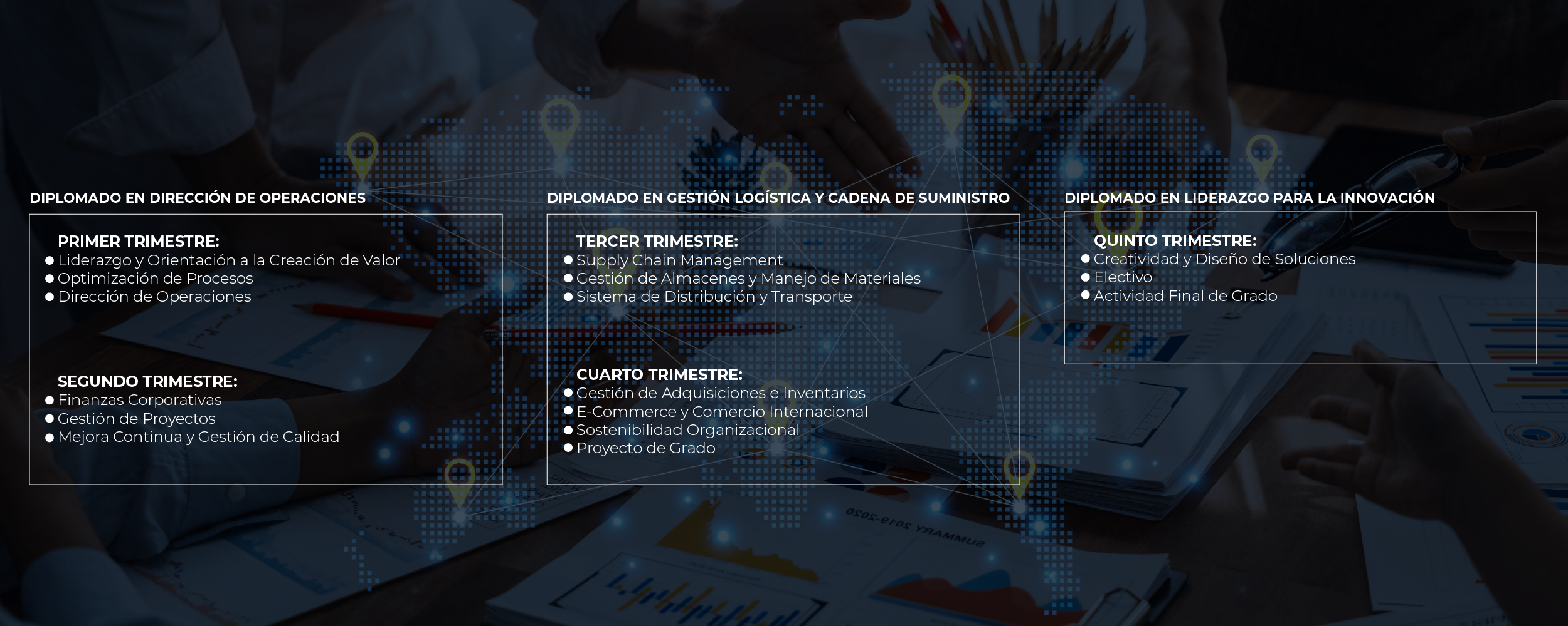 Plan de Estudios Magíster en Dirección de Operaciones y Logística