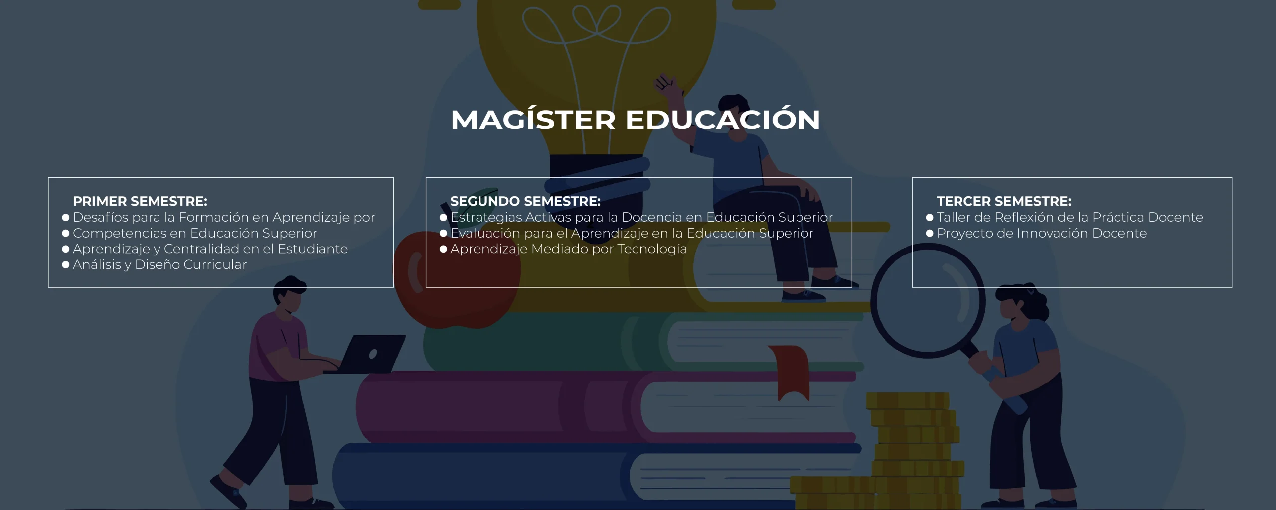 PLAB DE ESTUDIOS MAGÍSTER EN DOCENCIA PARA LA EDUCACIÓN SUPERIOR II