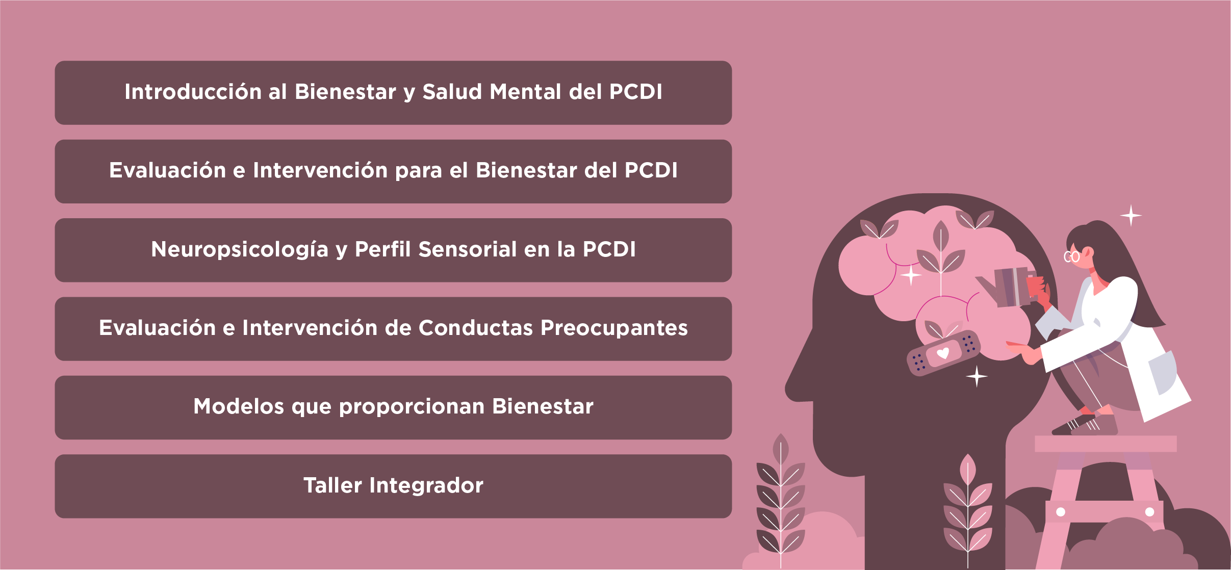 Diplomado en Salud Mental y Bienestar de Personas con Discapacidad Intelectual