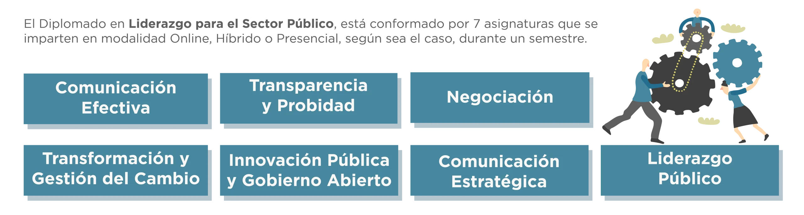 Diplomado en Liderazgo para el Sector Público