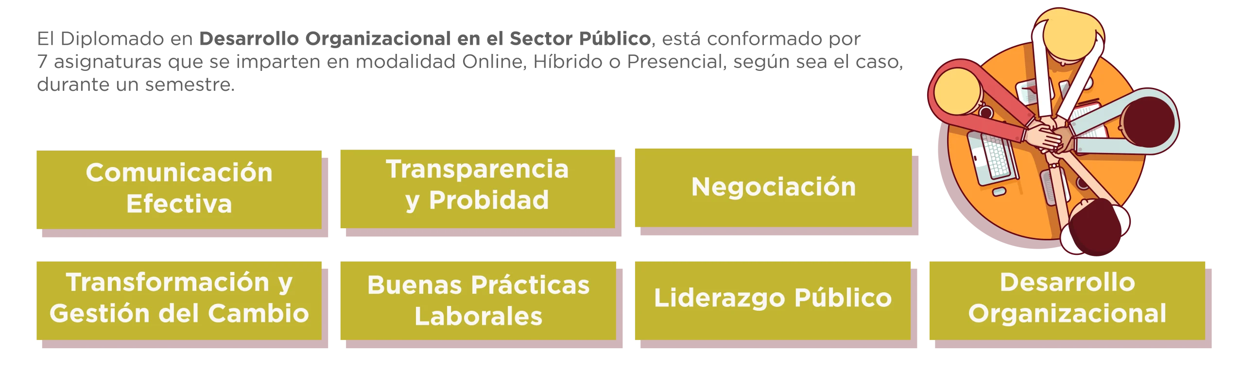 Diplomado en Desarrollo Organizacional en el Sector Público