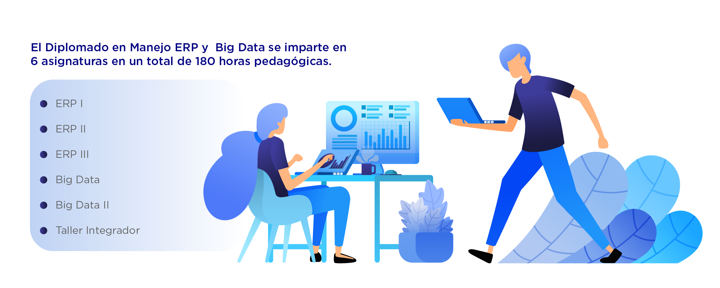 Plan de Estudios Diplomado en Manejo ERP y Big Data