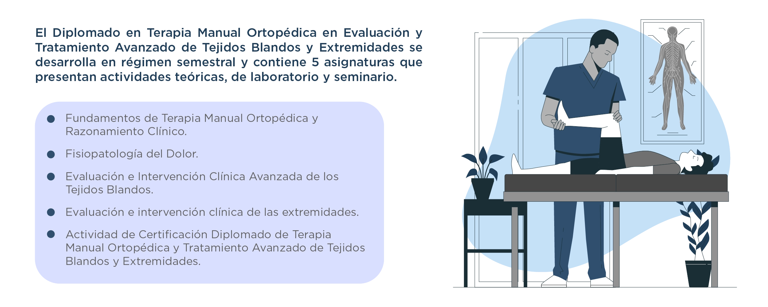 Plan de Estudios Diplomado en Terapia Manual Ortopédica