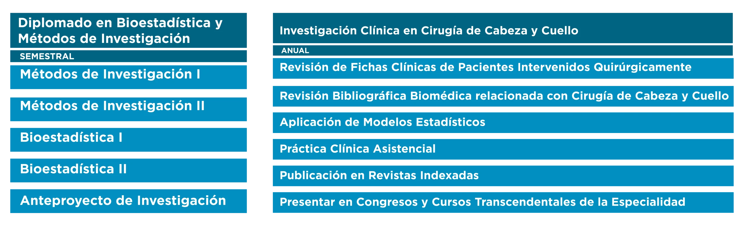 PLAN DE ESTUDIOS FELLOWSHIP CUELLO Y CABEZA