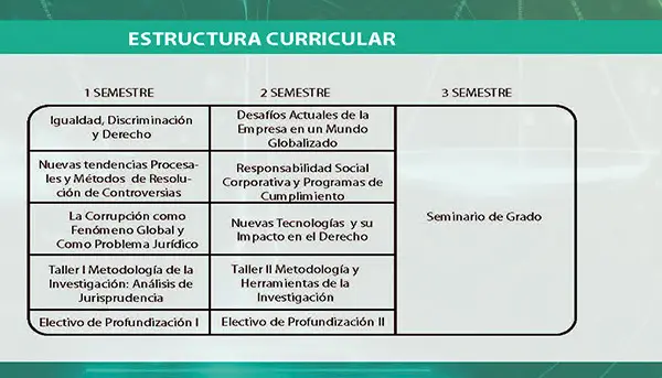 estructura curricular Magister en Ciencias Juridicas derecho