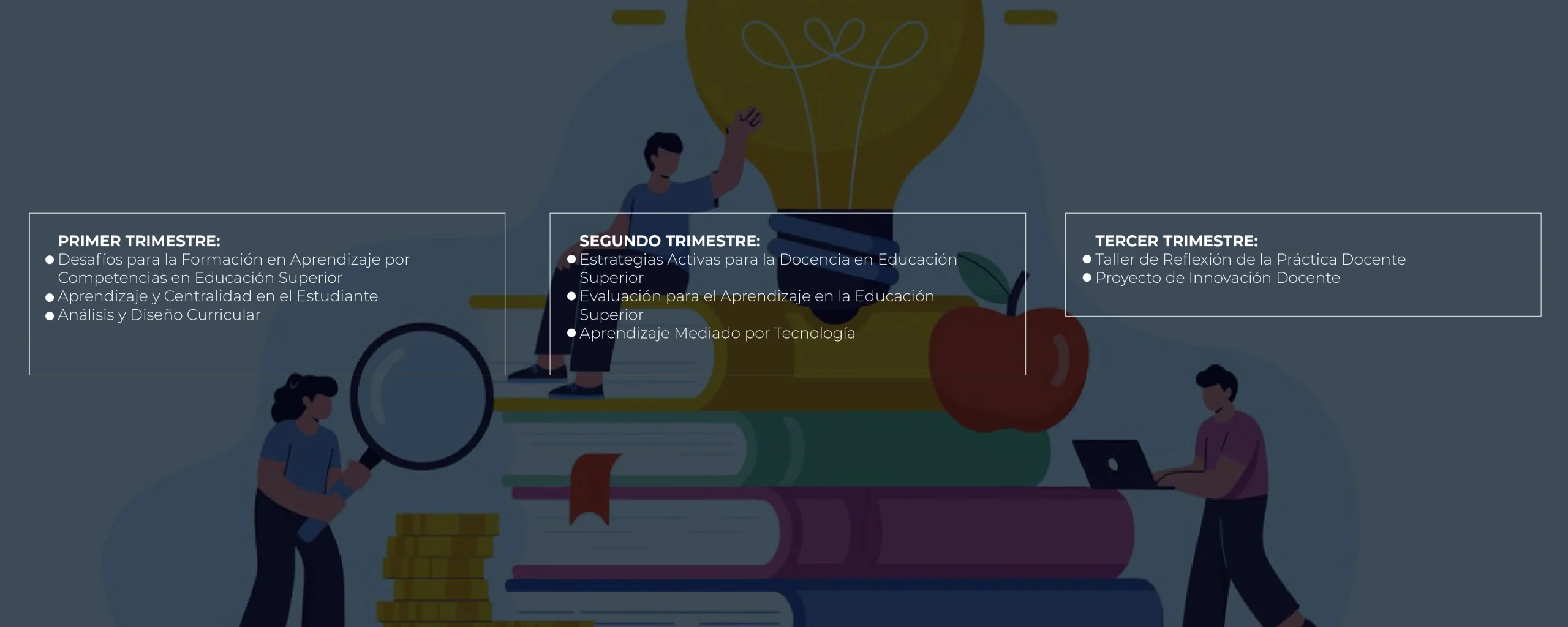 Plan de Estudios Magíster en Docencia para la Educación Superior