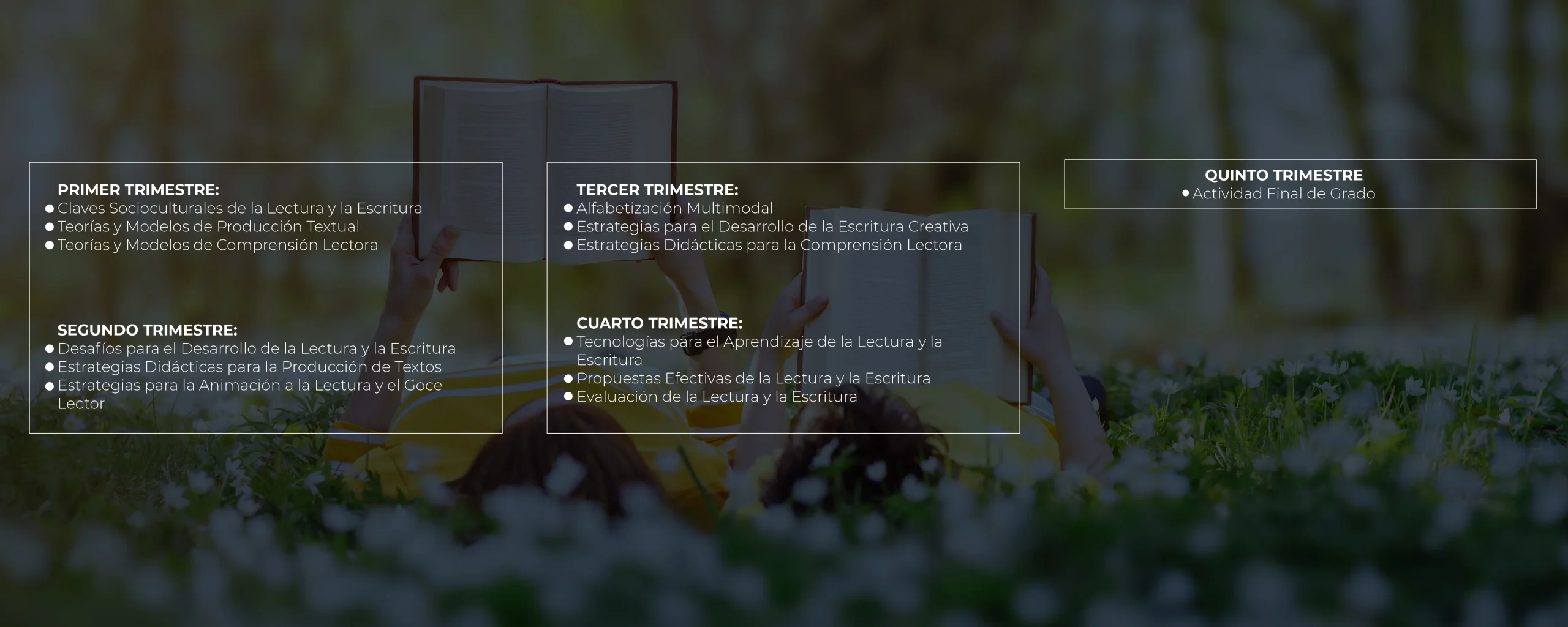 Plan de Estudios Magíster en Comprensión Lectora y Producción de Textos