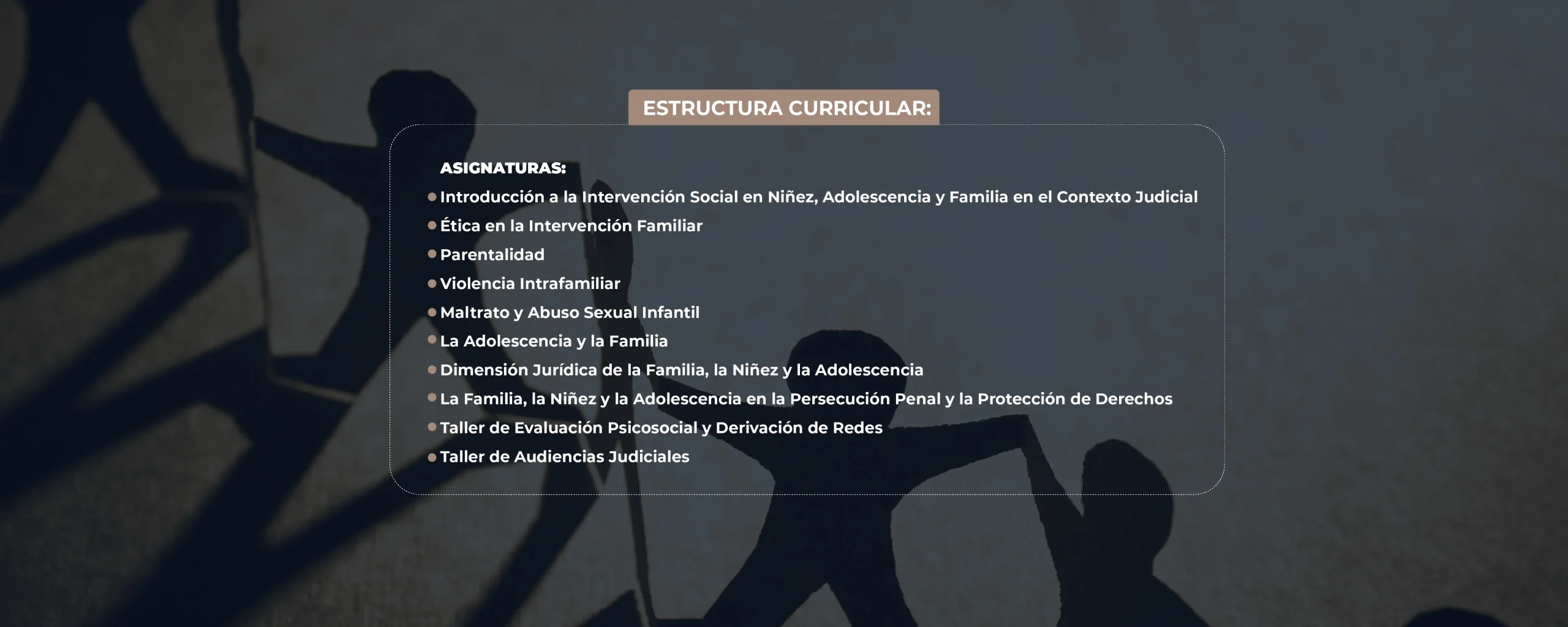 Plan de Estudios Postítulo en Trabajo Social en Niñez, Adolescencia y Familia en el Contexto Judicial