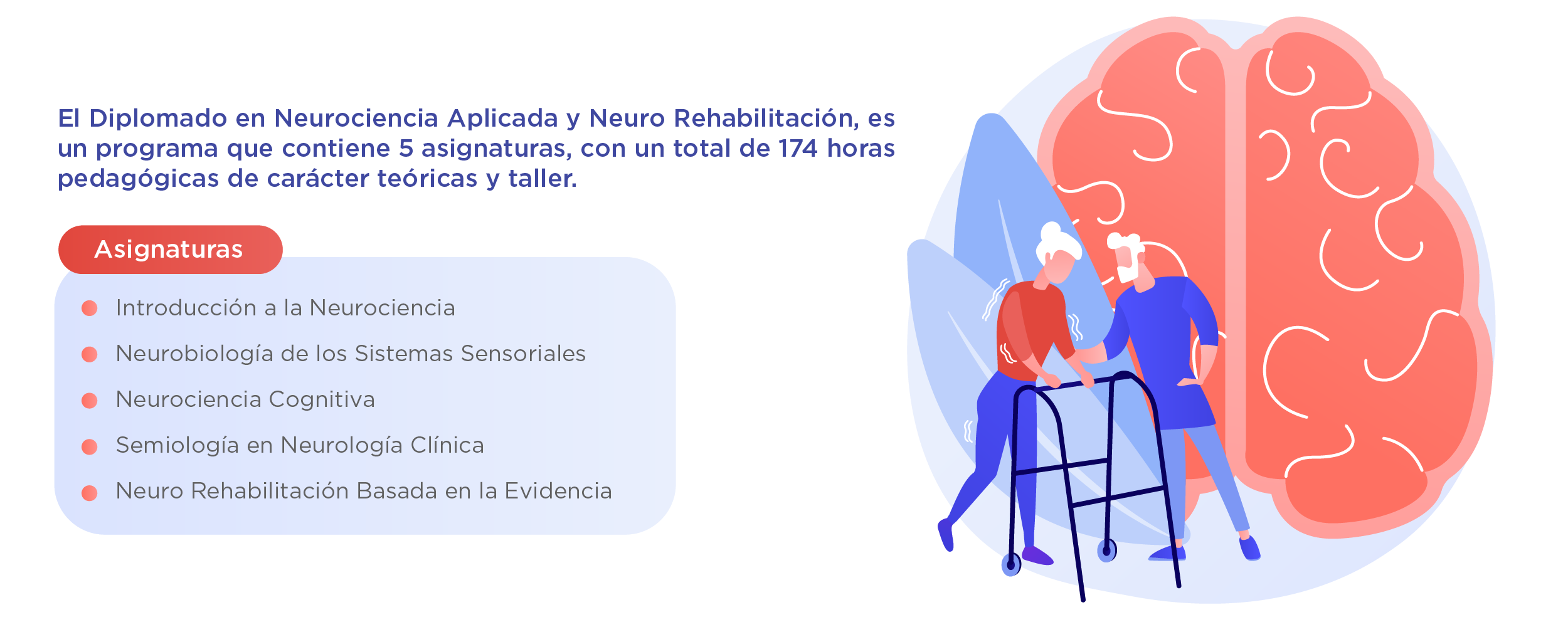 Plan de Estudios | Diplomado en Neurociencia Aplicada y Neuro Rehabilitación