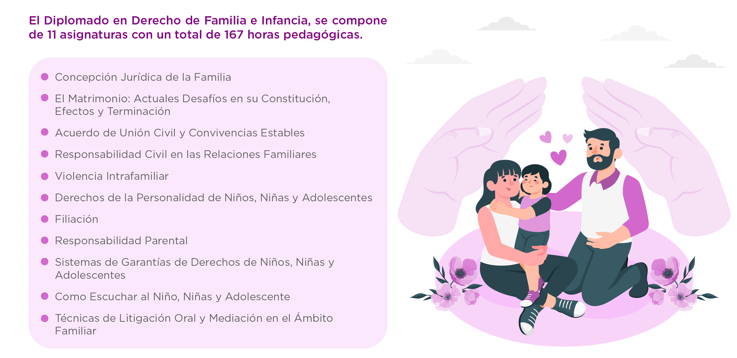 Plan de Estudios Diplomado en Derecho de Familia e Infancia