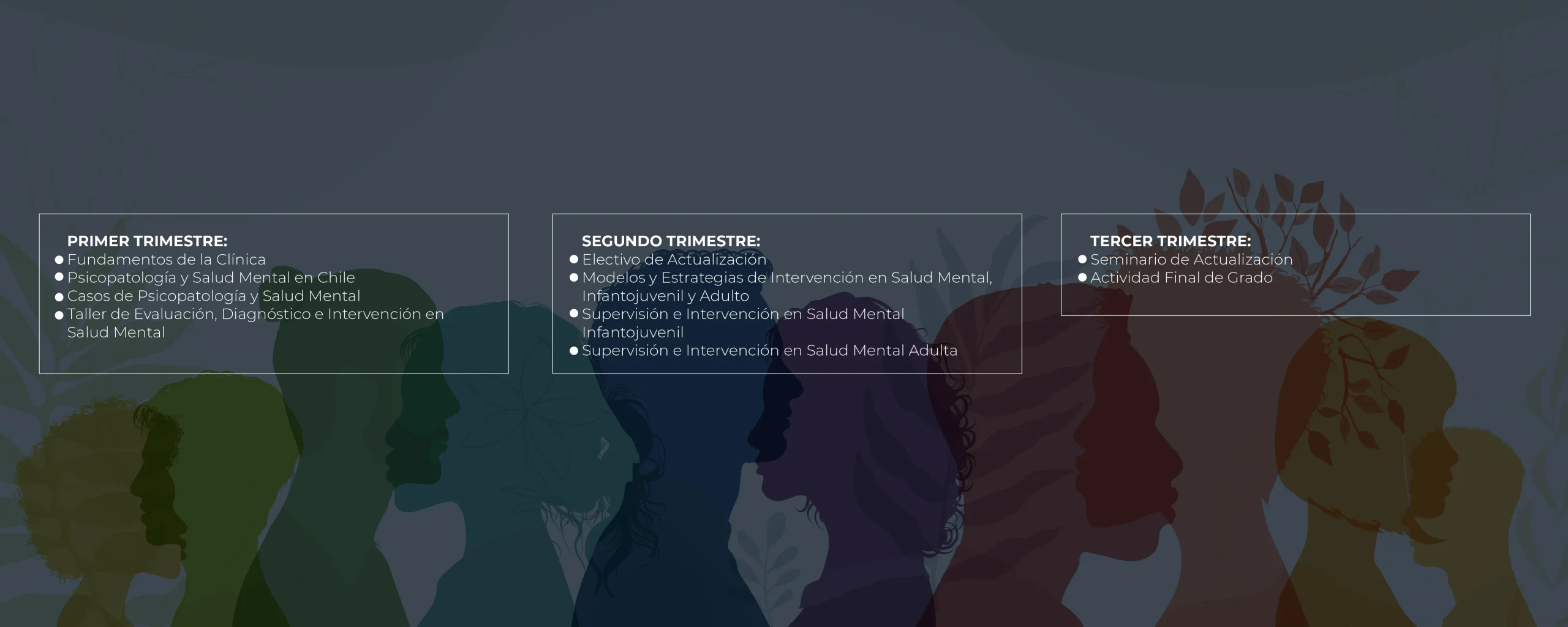 Plan de Estudios Plan de Estudios Magíster en Comprensión Lectora y Producción de Textos