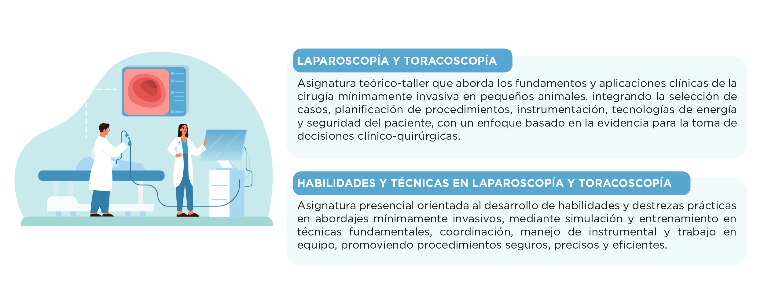 Plan de estudios Diplomado en Laparoscopia y Toracoscopia Veterinaria