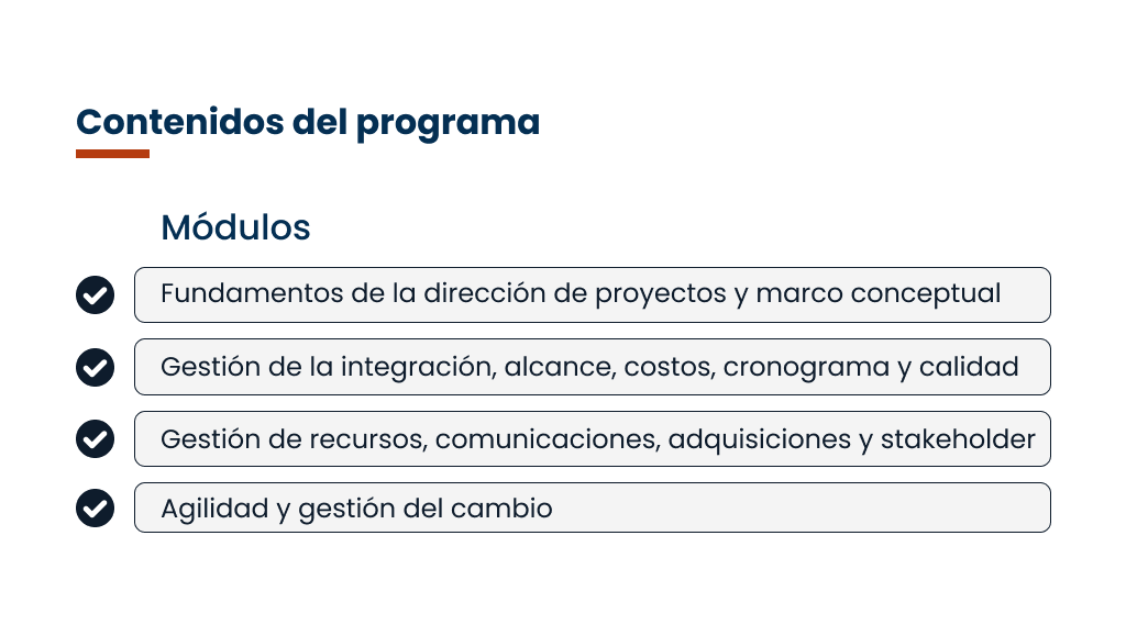 Plan de Estudios Proyectos PMO