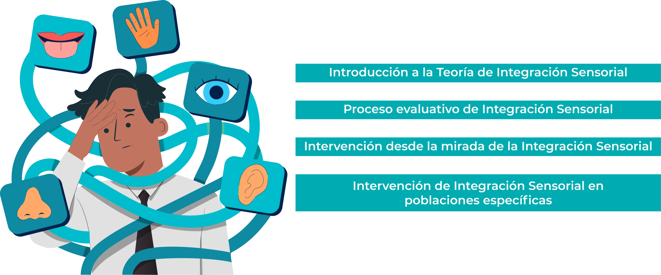 Plan de Estudios | Diplomado en Integración Sensorial 