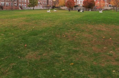 Una mirada privilegiada desde Harvard