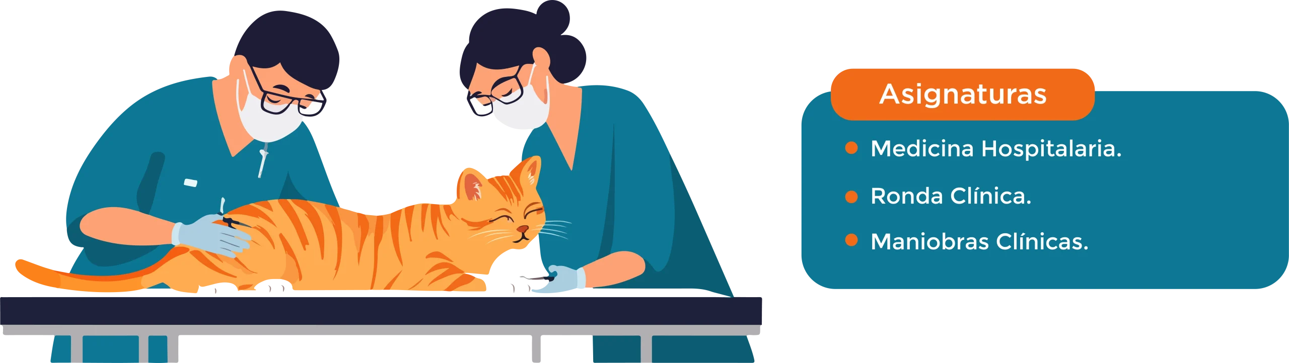 Diplomado en Clínica Intrahospitalaria del Gato