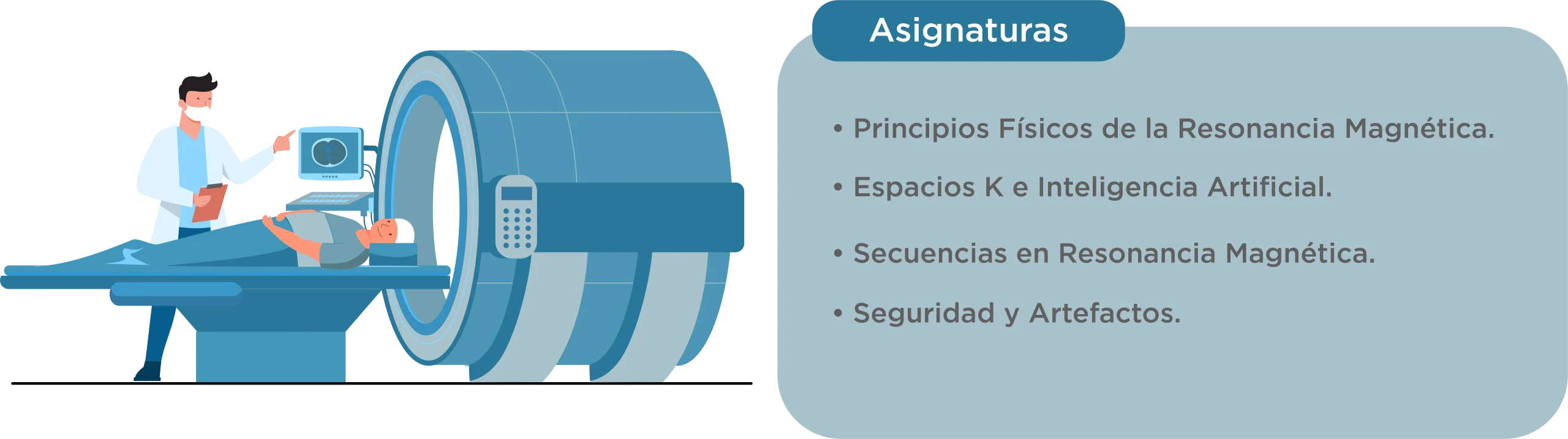 Diplomado Resonancia Magnética, Bases Físicas y Teóricas