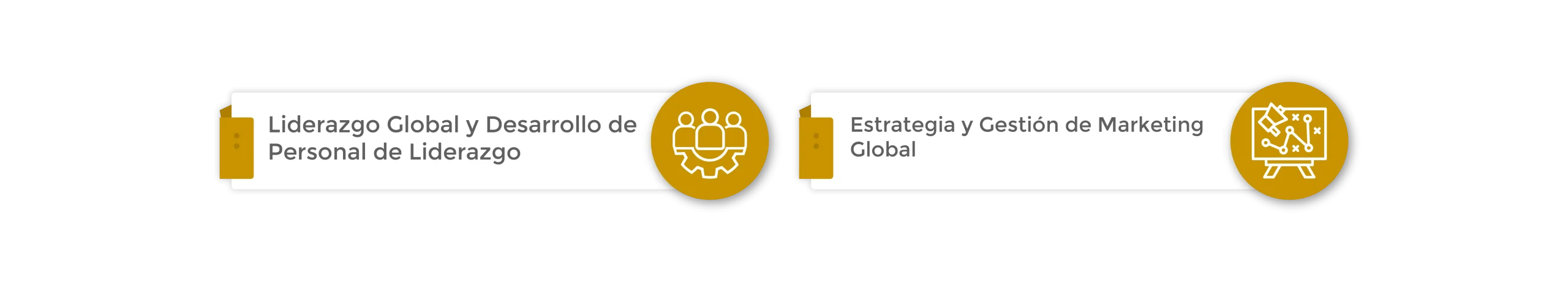 Diplomado en Liderazgo y Marketing Global