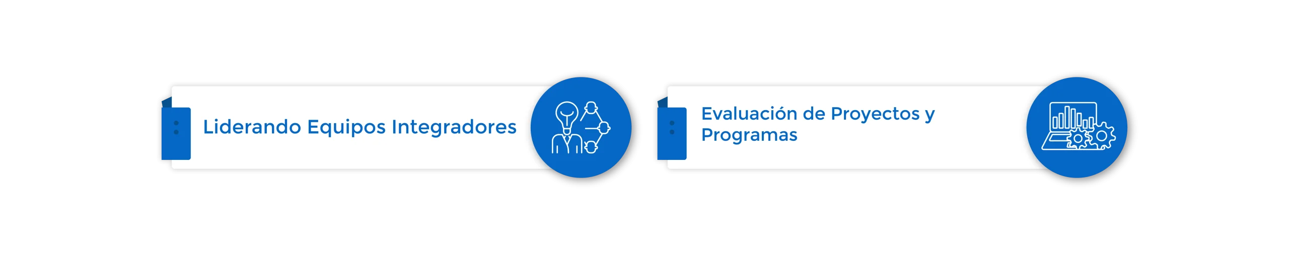 Plan de Estudios | Diplomado en Evaluación de Programas, Proyectos y Liderazgo de Equipos
