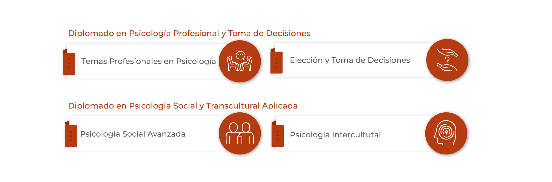 Plan de Estudios International Certificate en Psicología Social y Transcultural