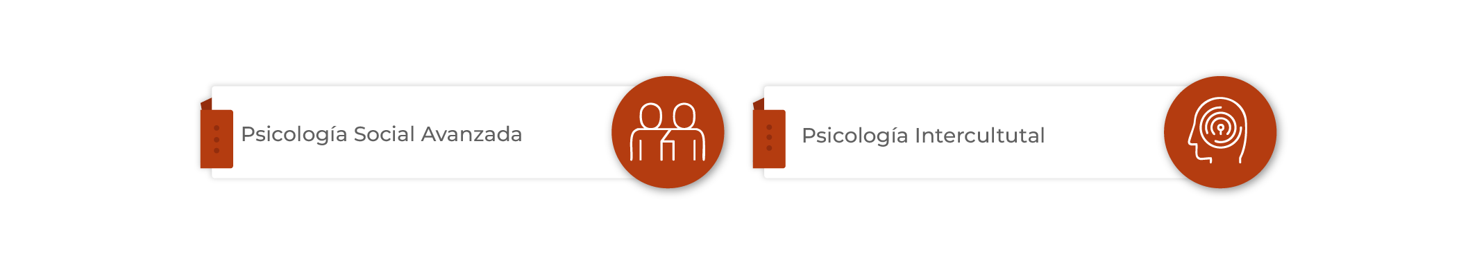 Plan de Estudios Diplomado en Psicología Social y Transcultural Aplicada