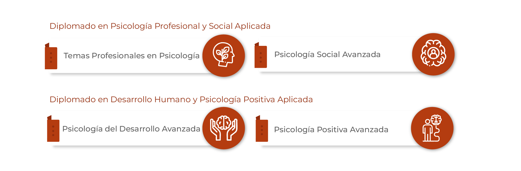 Plan de Estudios Certificate en Psicología y Bienestar Humano