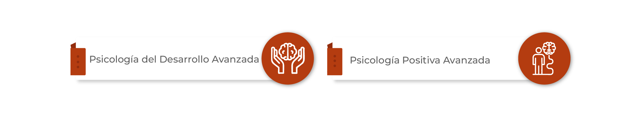Plan de Estudios Diplomado en Desarrollo Humano y Psicología Positiva Aplicada
