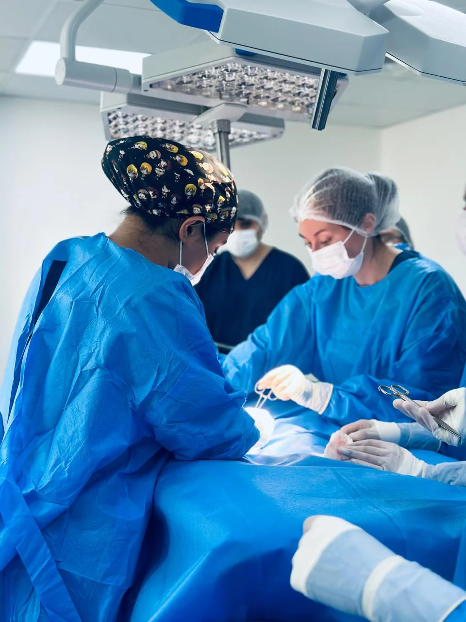 Programa de Formación de Especialista en Cirugía de Pequeños Animales