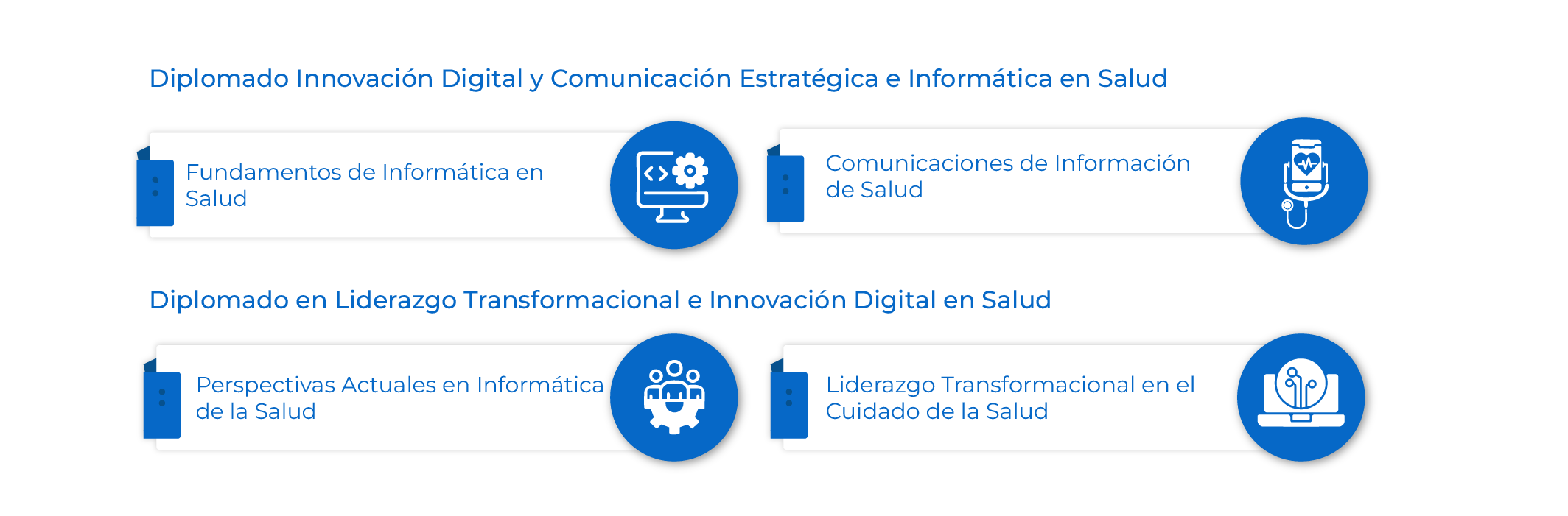 Plan de Estudios International Certificate de Estudios Avanzados en Informática Sanitaria