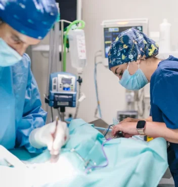 FOTOS 2024 2_400 X 243 (2)