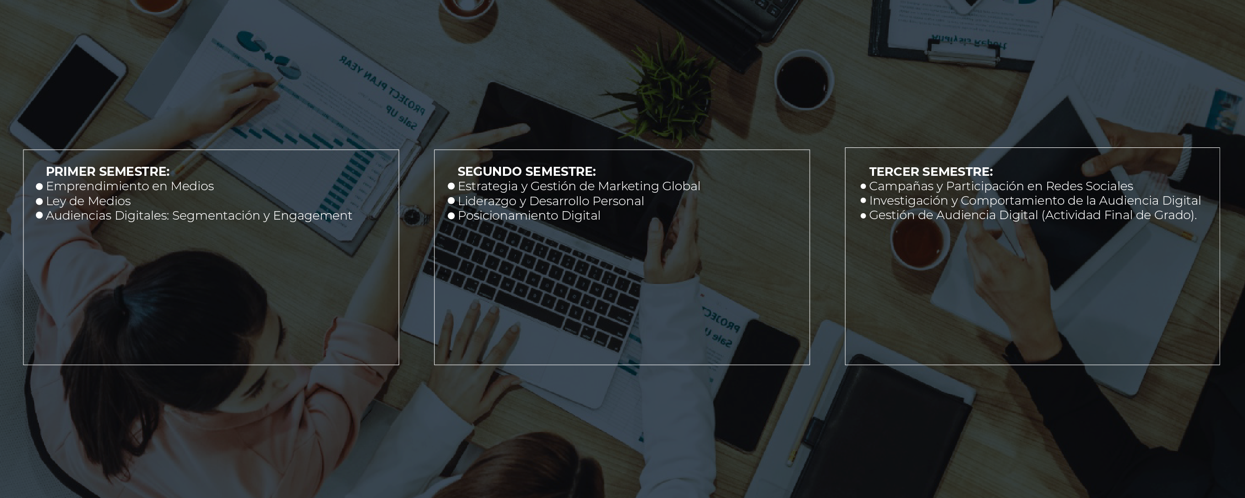 INFOGRAFÍA PLAN DE ESTUDIOS MAGÍSTER DIGITAL AUDIENCY