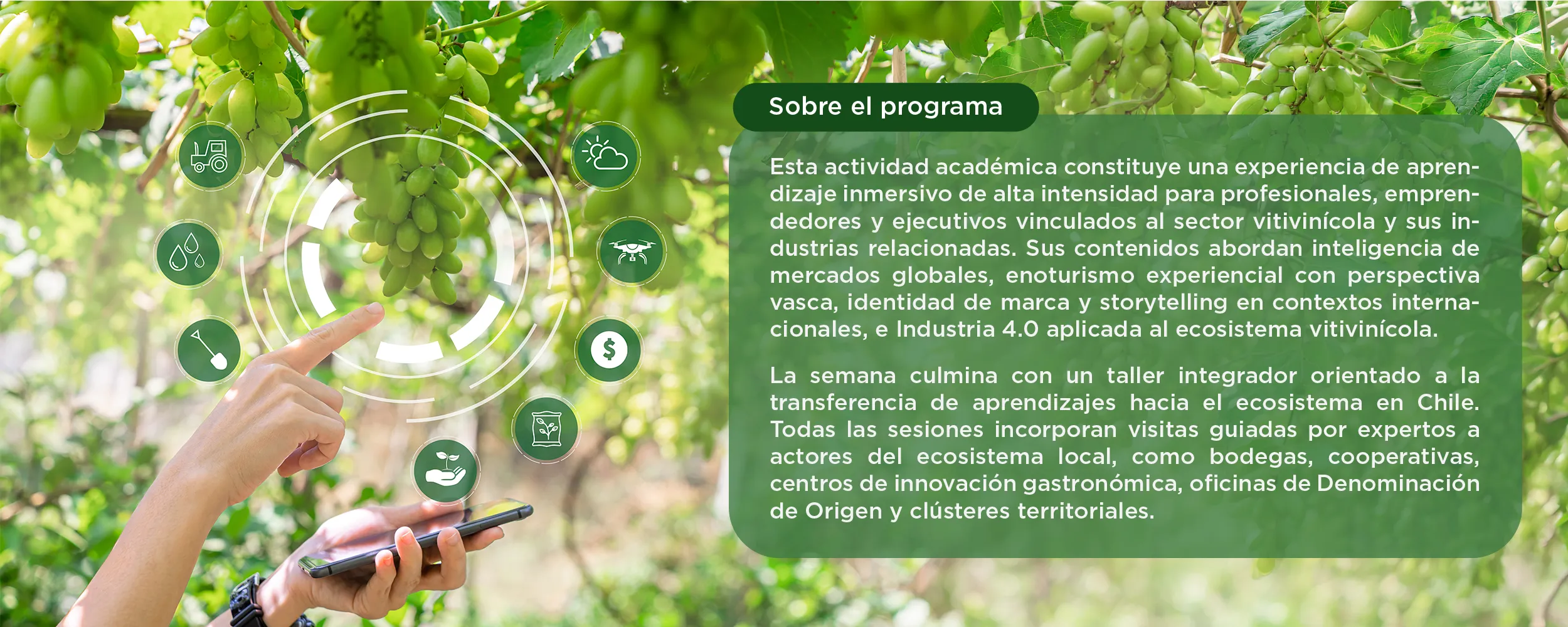 International Study Trip Ecosistema Vitivinícola del País Vasco Innovación, Identidad y Negocios