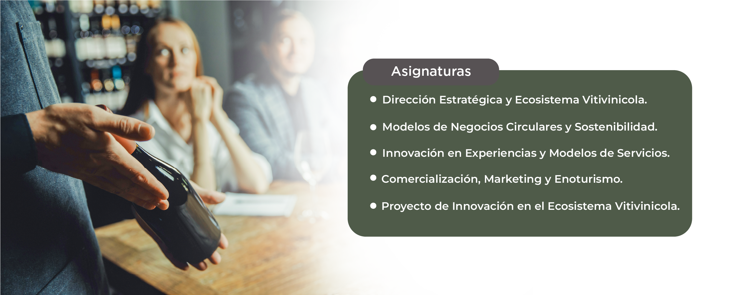 Diplomado en Innovación y Negocios del Ecosistema Vitivinícola