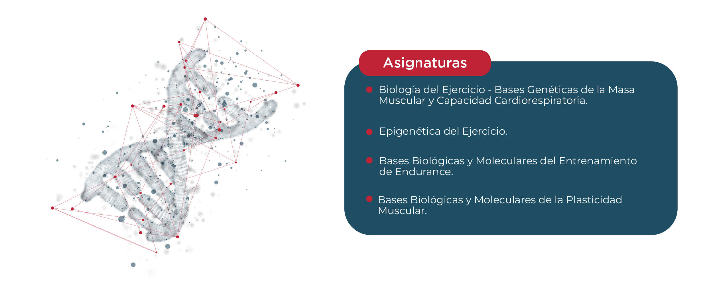 Plan de estudios Diplomado en Biología del Ejercicio: Bases para la Salud, el Deporte y la Rehabilitación UNAB