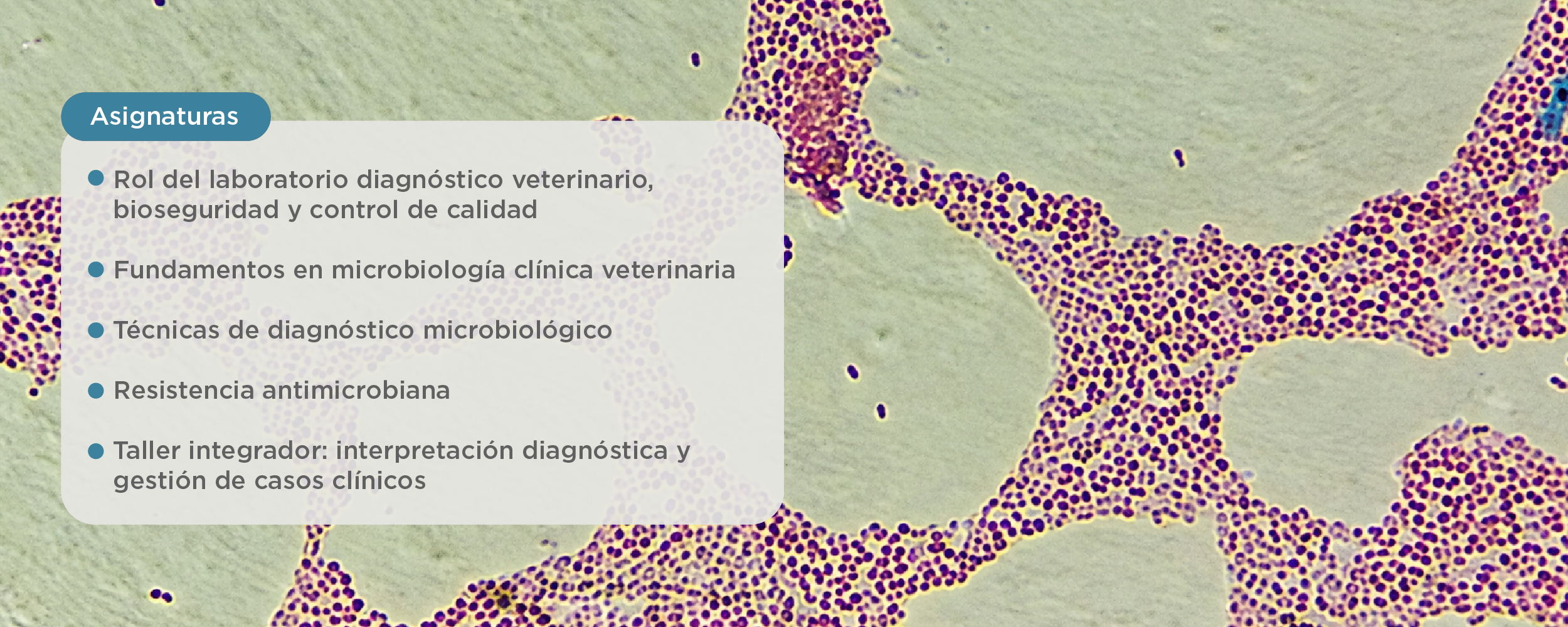 Plan de estudios Diplomado en Microbiología Clínica Veterinaria