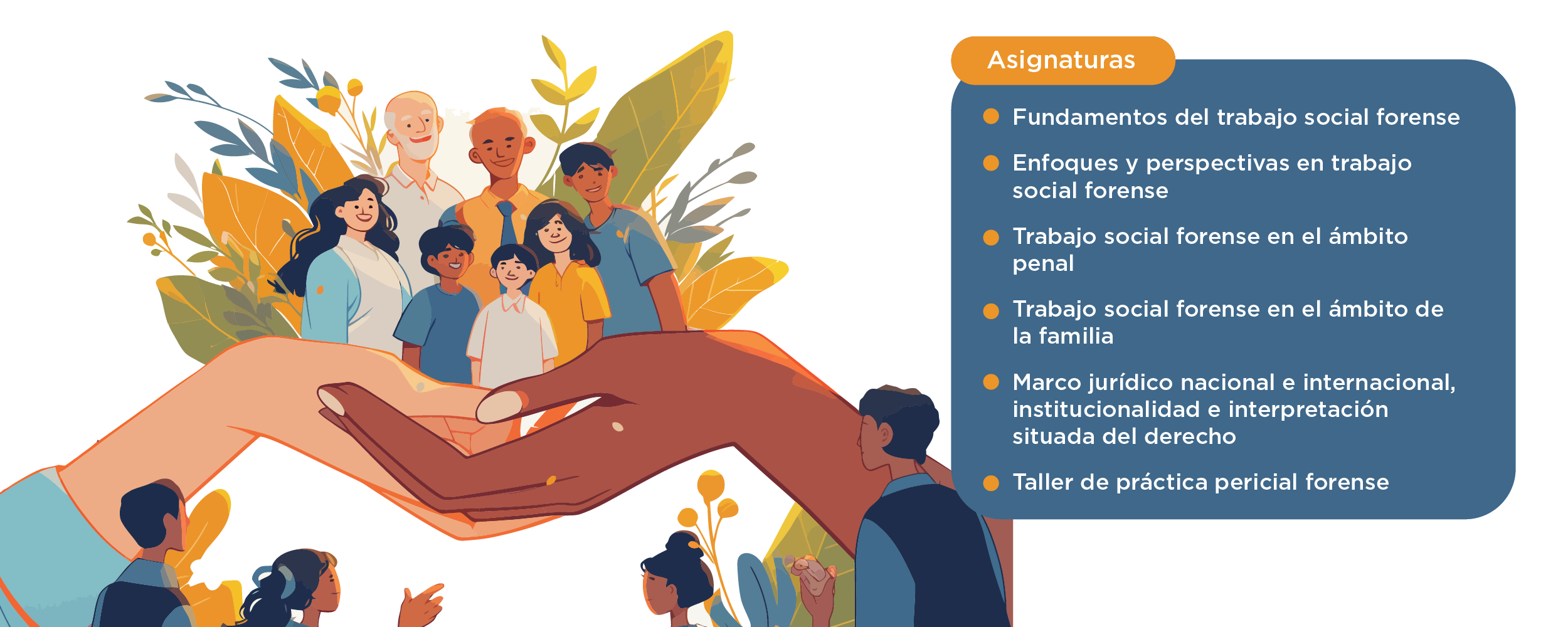 Plan de Estudios Diplomado en Trabajo Social Forense