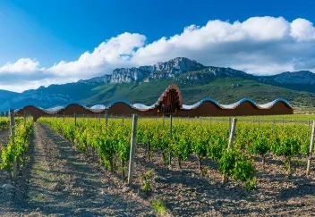 Vino con propósito cómo construir valor, identidad y posicionamiento en negocios vitivinícolas
