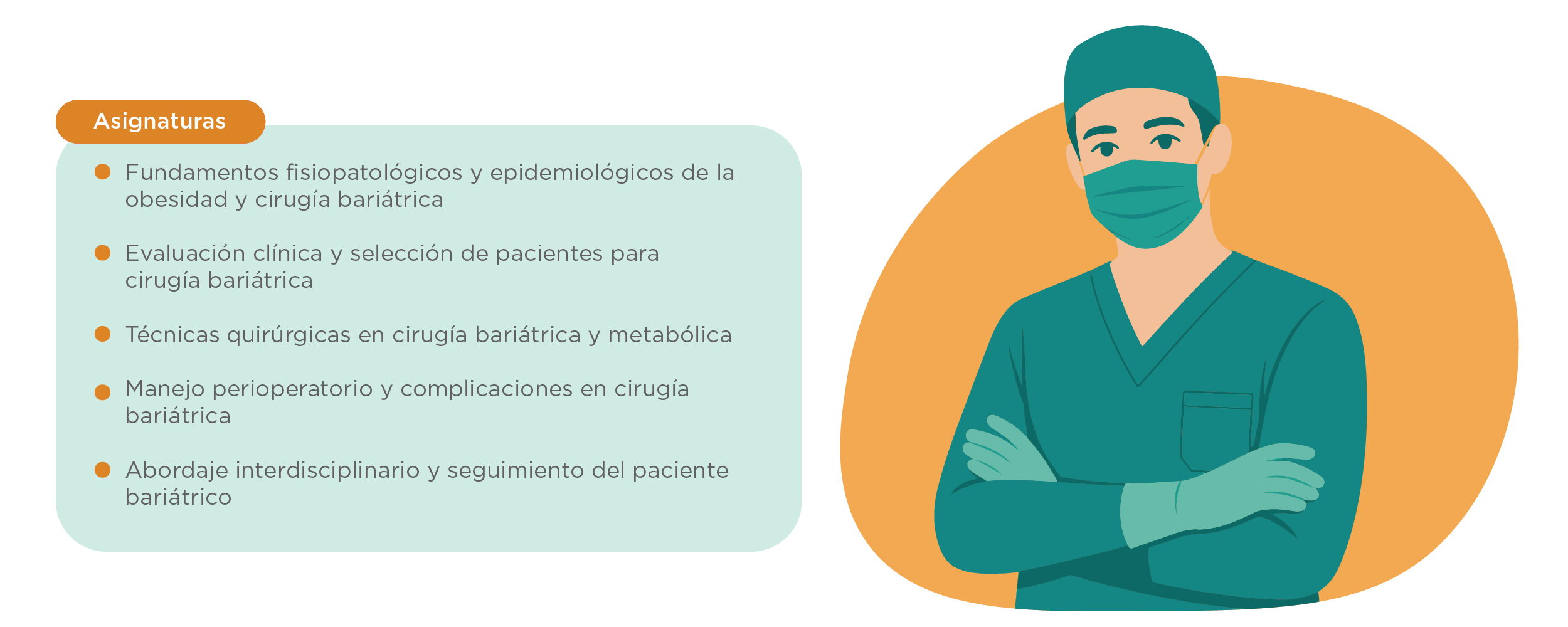Plan de estudios Estada de Perfeccionamiento en Cirugía Bariátrica
