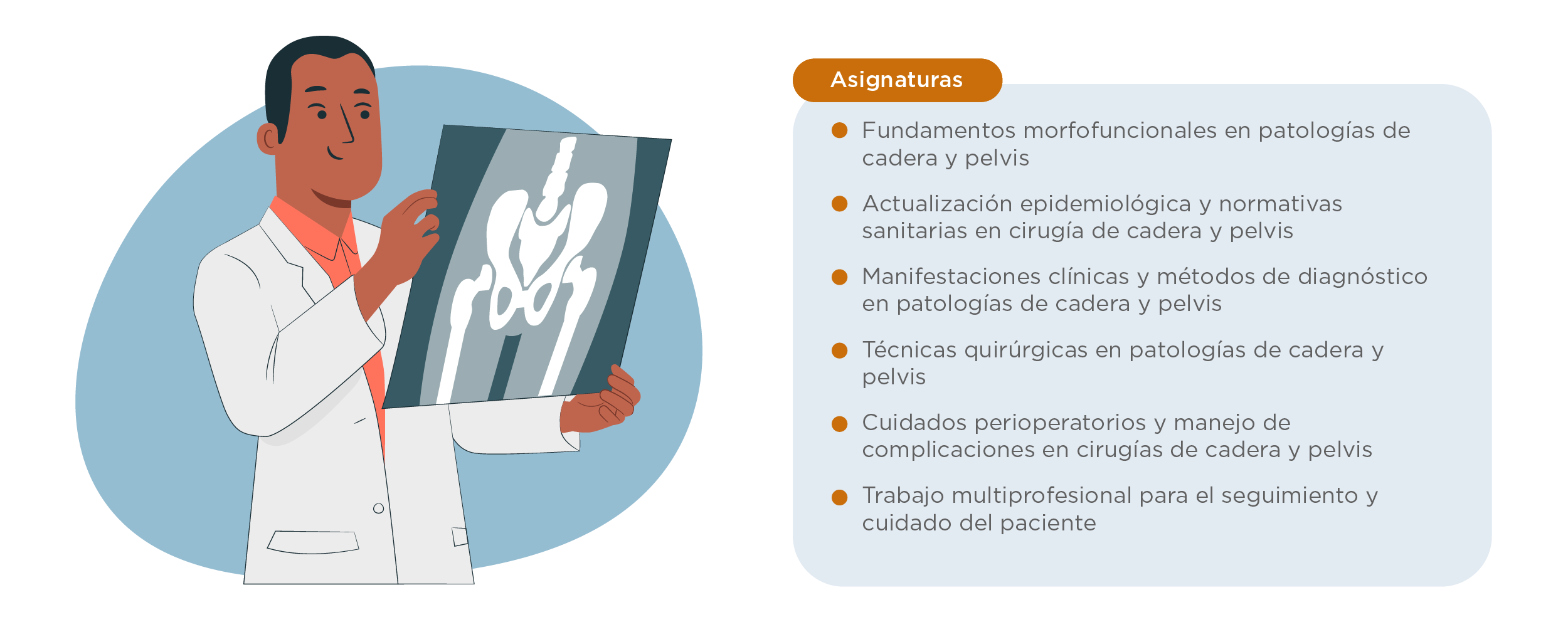 Plan de estudios Estada de Perfeccionamiento en Cirugía Reconstructiva de Cadera y Pelvis