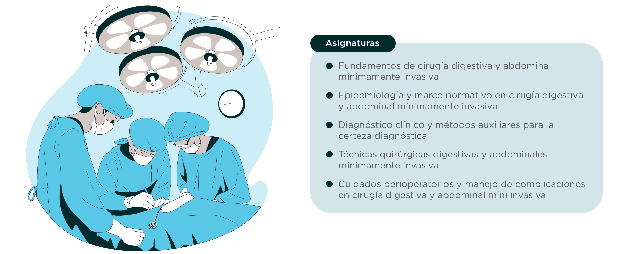 Plan de estudios Estada de Perfeccionamiento en Cirugía Digestiva y Abdominal Mínimamente Invasiva