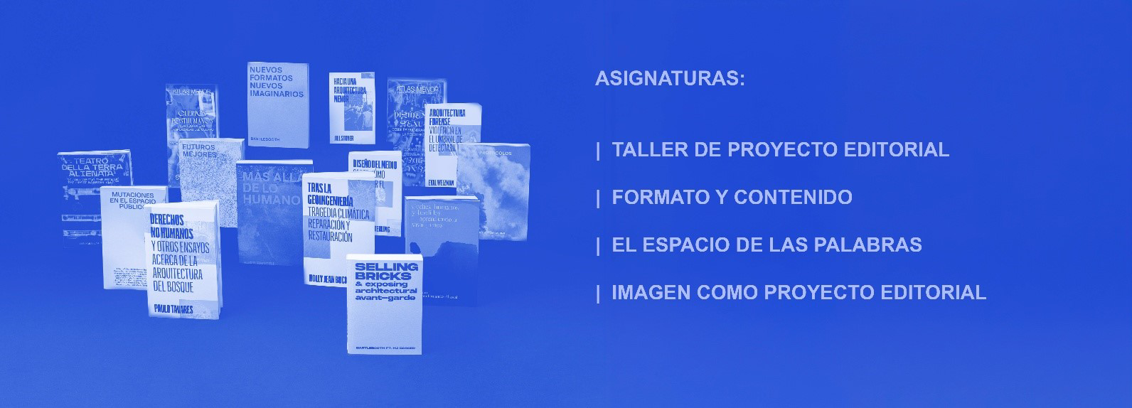 Plan de Estudios Diplomado en Arquitectura Editorial